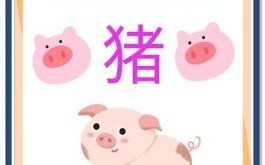 1995年属猪一生有几大坎 1995年属猪女一生有几次婚变