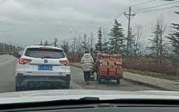 大年初四出行好吗 大年初四远行有禁忌吗