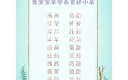兔年女孩名字寓意好的字 兔年女孩名字简单大方