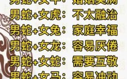 鼠和蛇婚配相合吗属相合不合婚姻