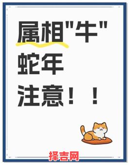 梦见牛是什么预兆?12种梦境解析与运势暗示-第1张图片 梦见牛是什么预兆?12种梦境解析与运势暗示-第1张图片