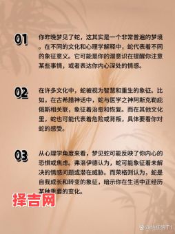男人梦见蛇的寓意解析:周公解梦揭秘蛇梦预兆-第1张图片 男人梦见蛇的寓意解析:周公解梦揭秘蛇梦预兆-第1张图片