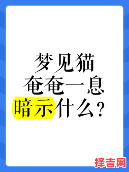 女人梦见猫的预兆解析:周公解梦告诉你答案-第1张图片 女人梦见猫的预兆解析:周公解梦告诉你答案-第1张图片