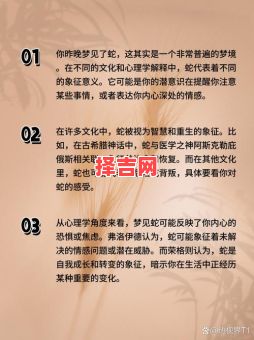 梦见两条蛇预示什么?解析双蛇梦境的神秘含义-第1张图片 梦见两条蛇预示什么?解析双蛇梦境的神秘含义-第1张图片