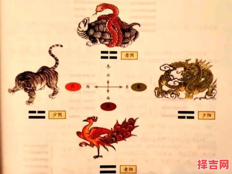 三才八卦运机打一生肖解析:揭秘传统易学与生肖的玄妙关联-第1张图片 三才八卦运机打一生肖解析:揭秘传统易学与生肖的玄妙关联-第1张图片