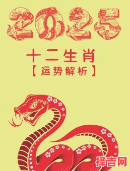 2025年十月生肖兔运势解析:事业财运全攻略-第1张图片 2025年十月生肖兔运势解析:事业财运全攻略-第1张图片
