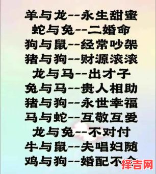 易鑫2025年1月28日十二生肖运势解析与每日运程指南-第1张图片 易鑫2025年1月28日十二生肖运势解析与每日运程指南-第1张图片