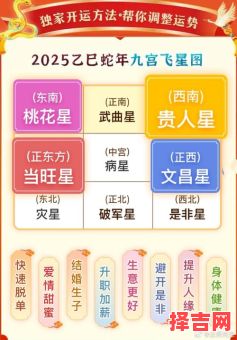 2025年十二生肖运势解析_属相运程详解-第1张图片 2025年十二生肖运势解析_属相运程详解-第1张图片