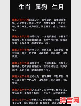 18年属狗人12月运势解析:事业财运健康爱情全指南-第1张图片 18年属狗人12月运势解析:事业财运健康爱情全指南-第1张图片