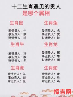 一命两运三风水猜生肖:揭秘传统命理中的属相玄机-第1张图片 一命两运三风水猜生肖:揭秘传统命理中的属相玄机-第1张图片