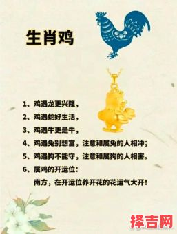 1969年属鸡人一生桃花运次数解析,生肖运势大揭秘-第1张图片 1969年属鸡人一生桃花运次数解析,生肖运势大揭秘-第1张图片