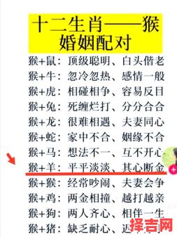 猴与什么属相最配?揭秘生肖猴最佳婚配属相-第1张图片 猴与什么属相最配?揭秘生肖猴最佳婚配属相-第1张图片
