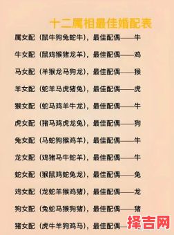 属鸡男生最佳婚配属相,生肖配对解析与建议-第1张图片 属鸡男生最佳婚配属相,生肖配对解析与建议-第1张图片