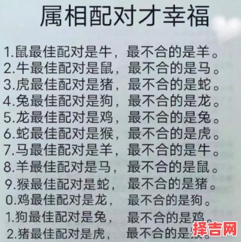 猴和什么属相最配?揭秘生肖猴的最佳婚配属相-第1张图片 猴和什么属相最配?揭秘生肖猴的最佳婚配属相-第1张图片