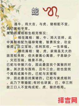 鼠和什么属相最配?生肖鼠最佳婚配属相解析-第1张图片 鼠和什么属相最配?生肖鼠最佳婚配属相解析-第1张图片