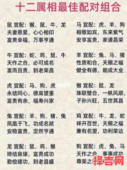 马和什么属相最配?生肖配对解析与婚配宜忌-第1张图片 马和什么属相最配?生肖配对解析与婚配宜忌-第1张图片