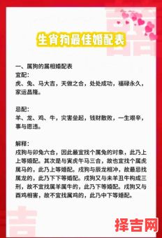 属狗的最佳婚配属相解析,属狗和什么属相最配婚姻幸福-第1张图片 属狗的最佳婚配属相解析,属狗和什么属相最配婚姻幸福-第1张图片