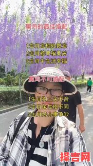 属鸡的最佳婚配属相,属鸡和什么属相最配婚姻幸福-第1张图片 属鸡的最佳婚配属相,属鸡和什么属相最配婚姻幸福-第1张图片