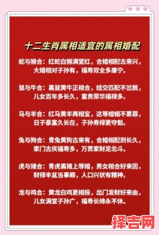羊和什么属相最配?十二生肖婚配宜忌全解析-第1张图片 羊和什么属相最配?十二生肖婚配宜忌全解析-第1张图片
