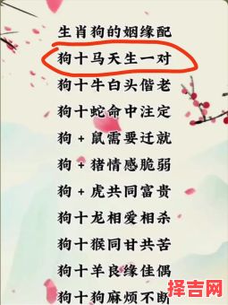 属狗的最佳婚配属相揭秘,生肖配对解析与运势指南-第1张图片 属狗的最佳婚配属相揭秘,生肖配对解析与运势指南-第1张图片