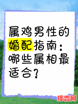 鸡与哪些属相最配?生肖鸡的最佳婚配属相解析-第1张图片 鸡与哪些属相最配?生肖鸡的最佳婚配属相解析-第1张图片