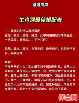属猴的最佳婚配属相,属猴人配对运势解析-第1张图片 属猴的最佳婚配属相,属猴人配对运势解析-第1张图片