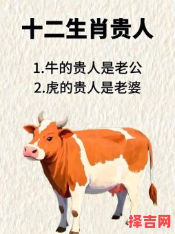 属牛女最佳婚配属相 属牛女和哪些生肖最相配-第1张图片 属牛女最佳婚配属相 属牛女和哪些生肖最相配-第1张图片