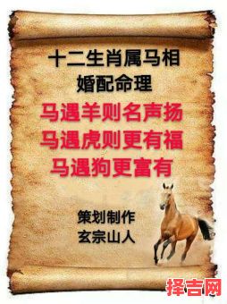 马与什么属相最配?生肖马最佳婚配属相解析-第1张图片 马与什么属相最配?生肖马最佳婚配属相解析-第1张图片