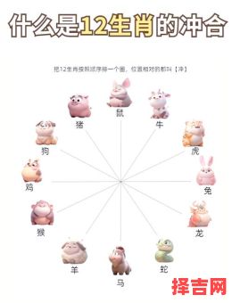 属鼠的和什么属相最配?12生肖婚配最佳组合解析-第1张图片 属鼠的和什么属相最配?12生肖婚配最佳组合解析-第1张图片