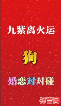 女狗最佳婚配属相揭秘,生肖配对幸福指南-第1张图片 女狗最佳婚配属相揭秘,生肖配对幸福指南-第1张图片