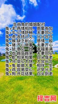 兔与哪些属相最配?12生肖婚配解析与最佳配对指南-第1张图片 兔与哪些属相最配?12生肖婚配解析与最佳配对指南-第1张图片