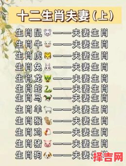 属龙的最佳婚配属相 龙年出生者姻缘配对解析-第1张图片 属龙的最佳婚配属相 龙年出生者姻缘配对解析-第1张图片