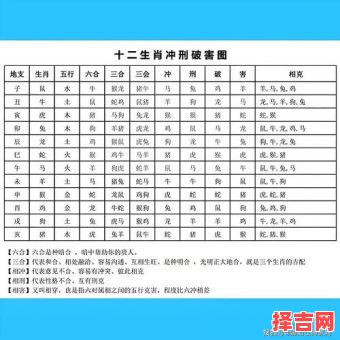 男属龙最佳婚配属相,属龙男和什么属相最合适-第1张图片 男属龙最佳婚配属相,属龙男和什么属相最合适-第1张图片
