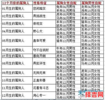 属狗的最佳婚配属相揭秘,这些生肖最合拍-第1张图片 属狗的最佳婚配属相揭秘,这些生肖最合拍-第1张图片