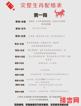 属相狗的最佳婚配属相,揭秘最合拍的生肖配对-第1张图片 属相狗的最佳婚配属相,揭秘最合拍的生肖配对-第1张图片