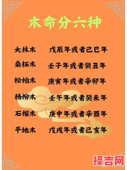 天木虚命格五行缺木吗?详解命理特征与补木方法-第1张图片 天木虚命格五行缺木吗?详解命理特征与补木方法-第1张图片