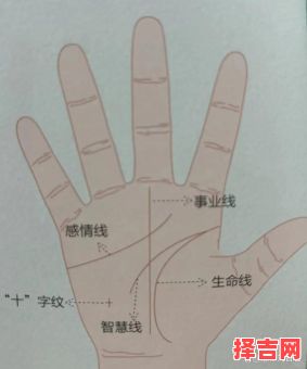 手又白又嫩代表什么命格?揭秘手相与运势的关联-第1张图片 手又白又嫩代表什么命格?揭秘手相与运势的关联-第1张图片