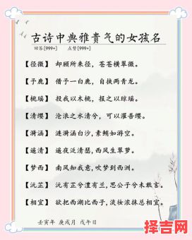 何雅婷名字含义解析 - 优雅与美好的寓意-第1张图片 何雅婷名字含义解析 - 优雅与美好的寓意-第1张图片