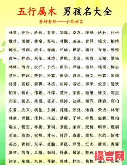 男宝带木字名字大全2025最新版,寓意吉祥又好听-第1张图片 男宝带木字名字大全2025最新版,寓意吉祥又好听-第1张图片