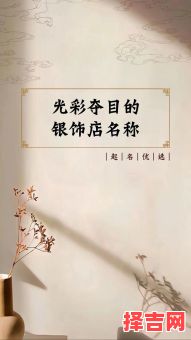 银饰店铺名字大全,时尚银饰店名推荐与取名技巧-第1张图片 银饰店铺名字大全,时尚银饰店名推荐与取名技巧-第1张图片
