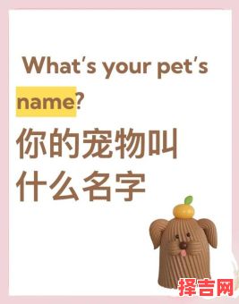 30个超可爱的宠物名字推荐,萌翻你的小宝贝!-第1张图片 30个超可爱的宠物名字推荐,萌翻你的小宝贝!-第1张图片