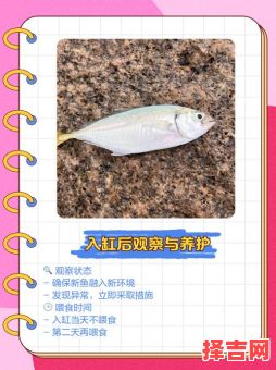 2025年11月适合买鱼入缸的吉日 2025年11月养鱼吉日查询-第1张图片 2025年11月适合买鱼入缸的吉日 2025年11月养鱼吉日查询-第1张图片