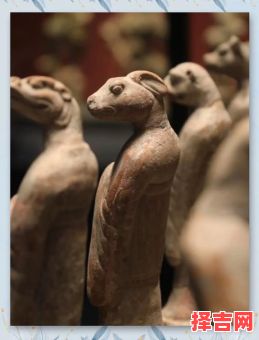 求始作俑是什么生肖?家中物指什么生肖-第1张图片 求始作俑是什么生肖?家中物指什么生肖-第1张图片