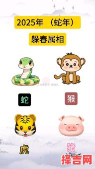 瞎子打瞌睡是什么生肖？瞎子打瞌睡最正确生肖-第1张图片