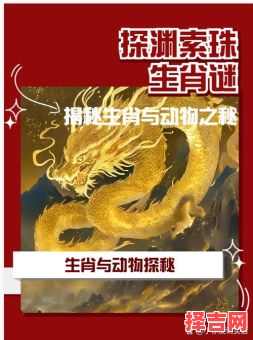 张古老是什么生肖?张古老个人简历-第1张图片 张古老是什么生肖?张古老个人简历-第1张图片