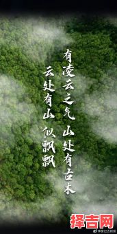 直上云霄是什么生肖？直入云霄打准确生肖-第1张图片