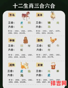 八一可跟是什么生肖？一八代表什么生肖-第1张图片