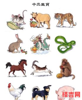 穷猿奔林打一生肖是什么生肖？深山老林打一生肖-第1张图片
