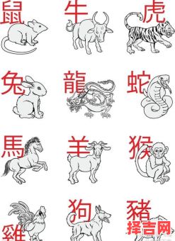 十二生肖最不干净的动物是什么生肖?十二生肖哪个动物最脏-第1张图片 十二生肖最不干净的动物是什么生肖?十二生肖哪个动物最脏-第1张图片