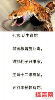 岁月峥崂逢是什么生肖?岁月峥崂逢子鼠的意思-第1张图片 岁月峥崂逢是什么生肖?岁月峥崂逢子鼠的意思-第1张图片